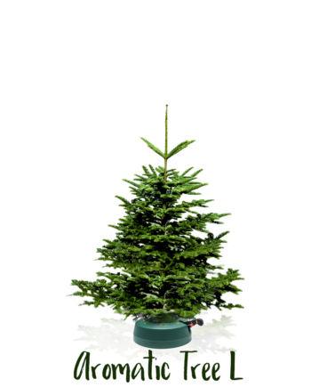 Christbaumständer Star-Max Modell START 1 für Bäume bis 200 cm –  ChristbaumBazi