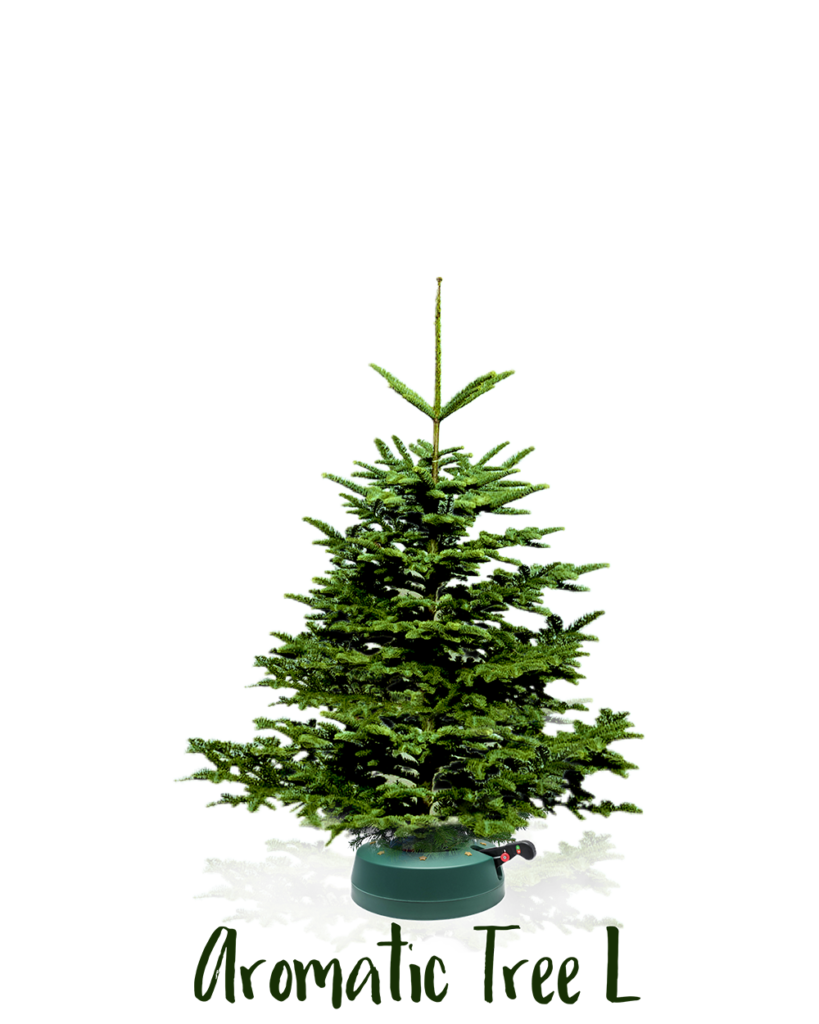 Weihnachtsbaum “Nobilis L” 170190 cm der einzigartige Duftbaum