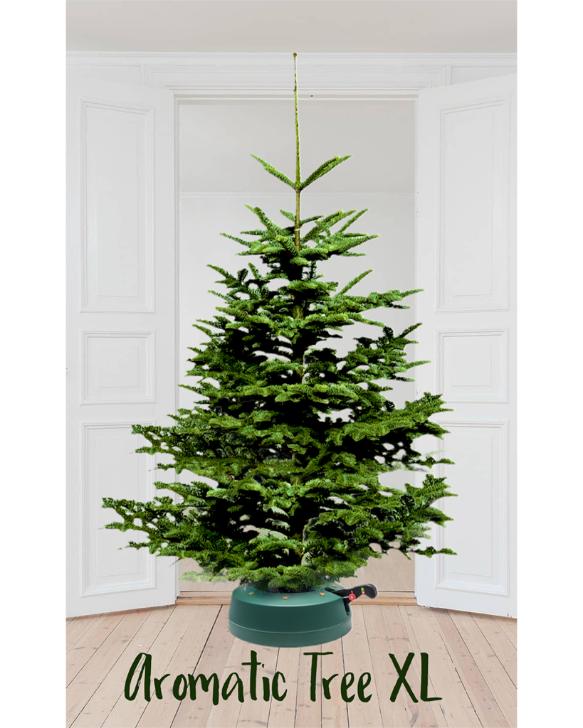 Weihnachtsbaum “Nobilis XL” 200210 cm der einzigartige Duftbaum