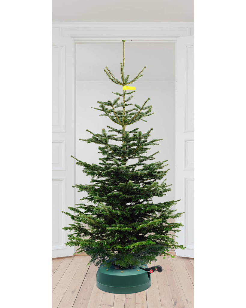 Weihnachtsbaum “Prinzessin of the City! extra schmal” (180230cm