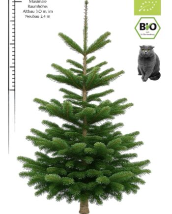 Weihnachtsbaum "BIO Maxi" (2,5-3,0 m) mit DE+ EU Bio Siegel & Naturland Zertifikat des Erzeugers