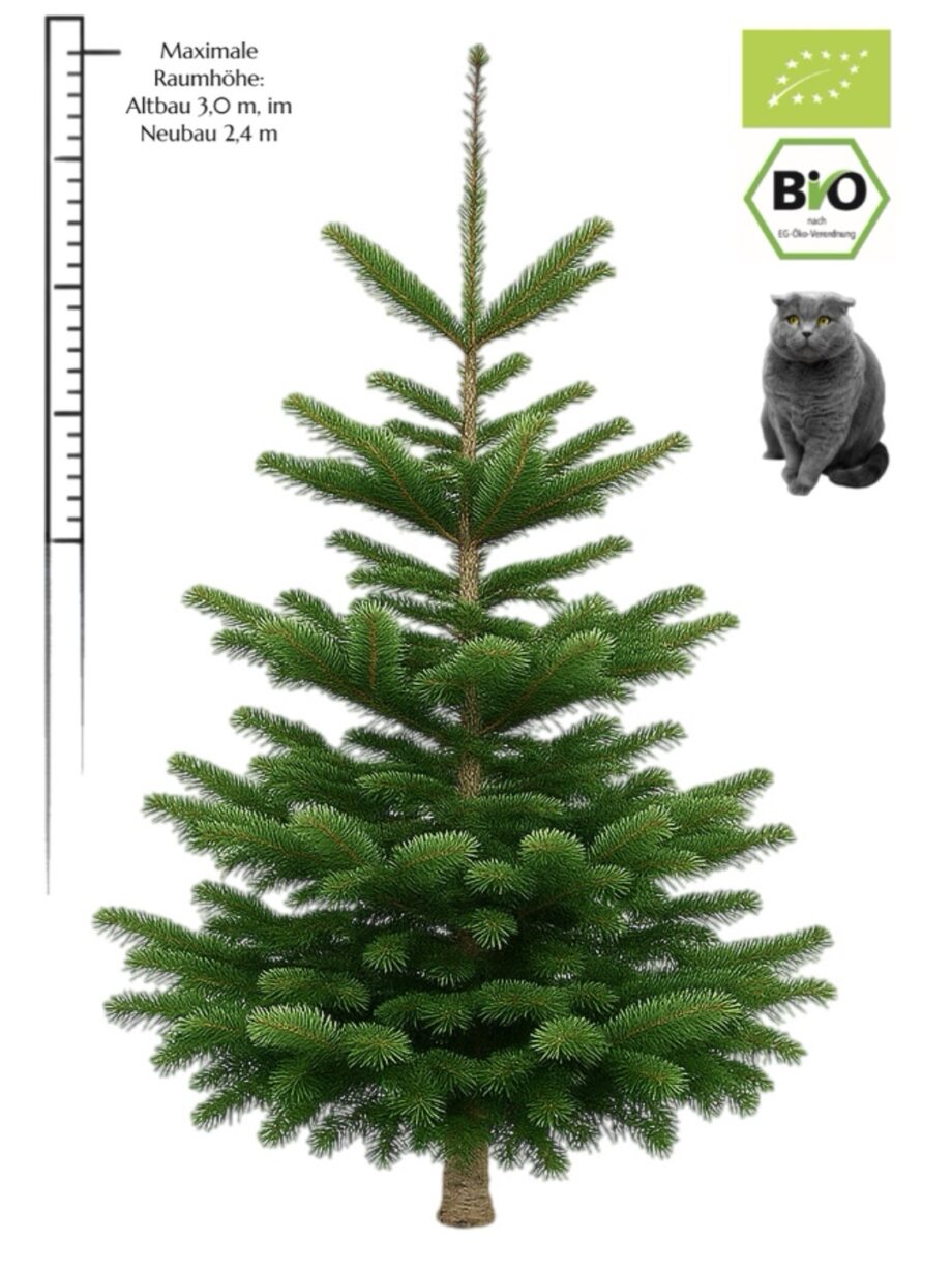 Weihnachtsbaum "BIO Maxi" (2,5-3,0 m) mit DE+ EU Bio Siegel & Naturland Zertifikat des Erzeugers