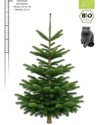 Weihnachtsbaum "BIO Lotti" (2,1-2,25 m) mit Naturland Zertifikat des Erzeugers