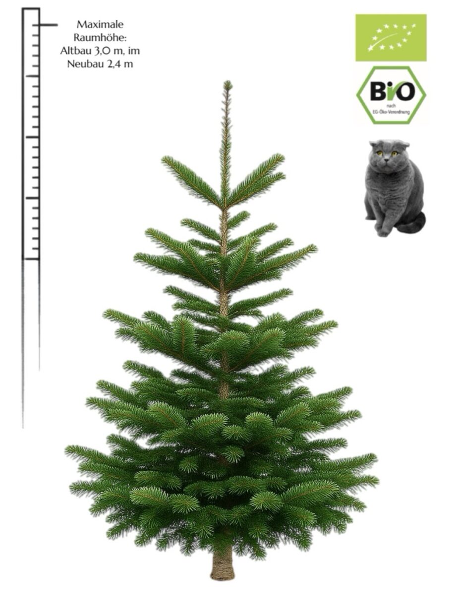 Weihnachtsbaum "BIO Lotti" (2,1-2,25 m) mit Naturland Zertifikat des Erzeugers