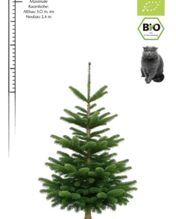 Weihnachtsbaum "BIO Willi" (1,75-2,0 m) mit DE+ EU Bio Siegel & Naturland Zertifikat des Erzeugers