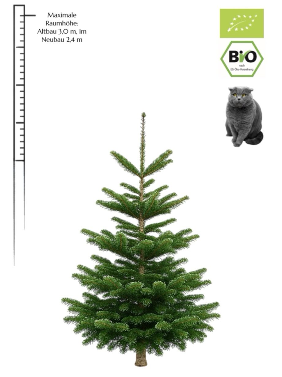 Weihnachtsbaum "BIO Willi" (1,75-2,0 m) mit DE+ EU Bio Siegel & Naturland Zertifikat des Erzeugers