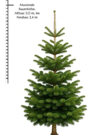 Weihnachtsbaum "Urbayer" 2,2-2,4m