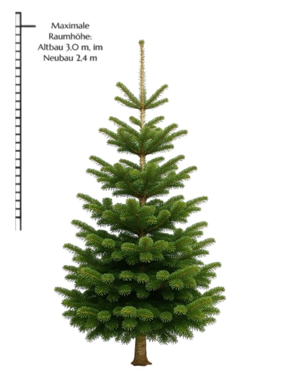 Weihnachtsbaum "Urbayer" 2,2-2,4m