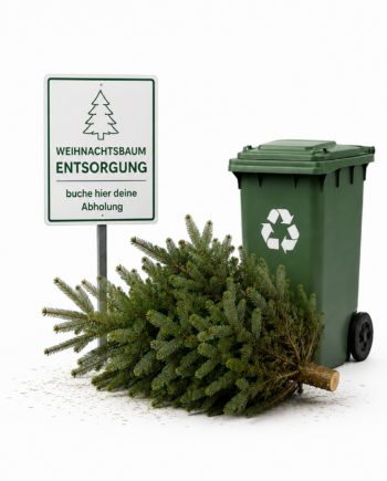 Entsorgung ausgedienter Baum / Rückholung Topfbäume (Dienstleistung)