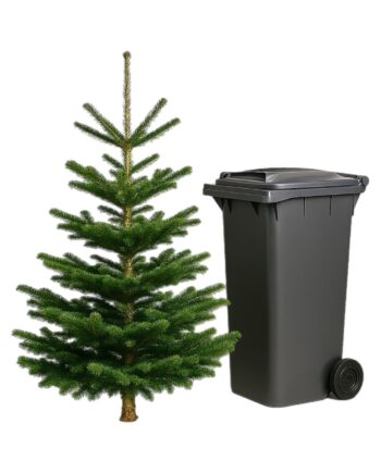 Christbaum Entsorgung / Rückholung Topfbäume