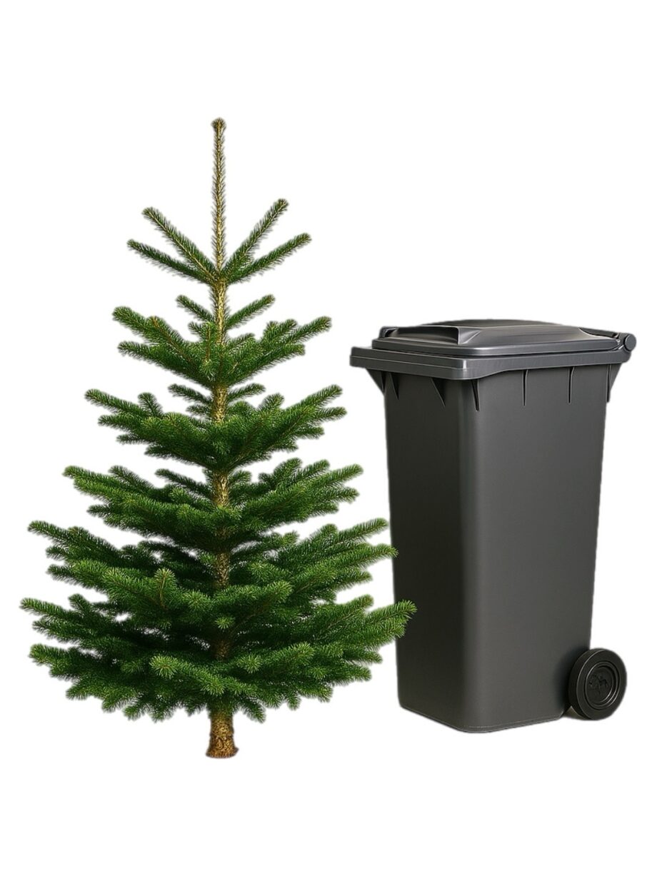 Christbaum Entsorgung / Rückholung Topfbäume